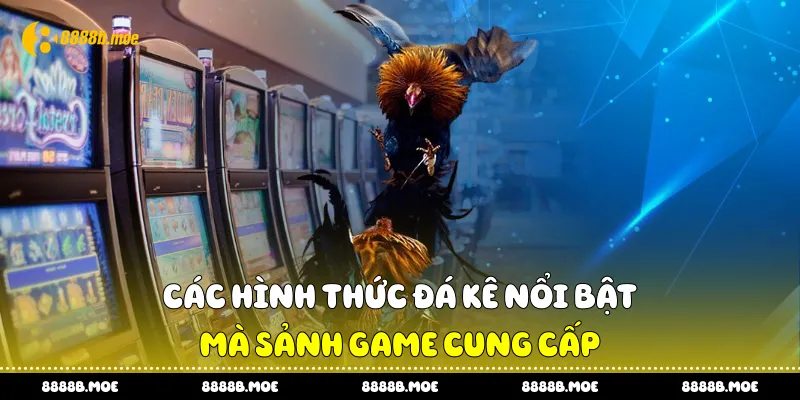 Các hình thức đá kê nổi bật mà sảnh game cung cấp