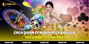 Cách Quản Lý Vốn Khi Cá Độ 888B