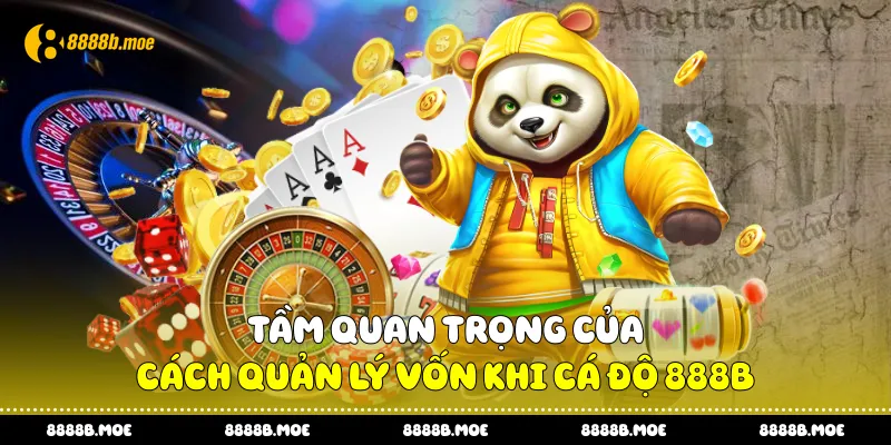 Tầm quan trọng của cách quản lý vốn khi cá độ 888B